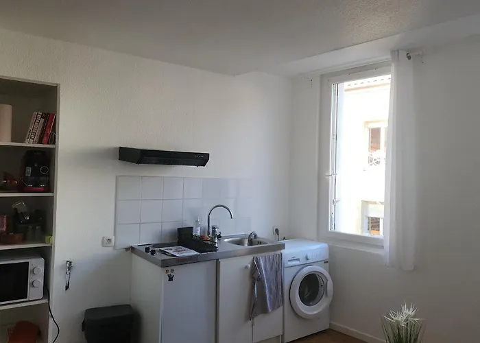 Bright Ideally Located Toulouse